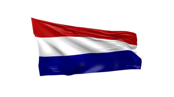 Waving Flag Netherlands Animation — Stock Video