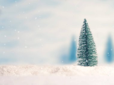 Karda küçük ağaç