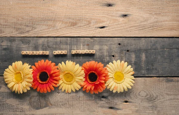 Beautiful gerbera flowers with the German words, spring is loadi — Stock Photo, Image