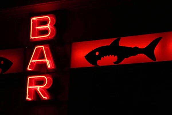 "Haifisch "bar, Berlin — Stok Foto