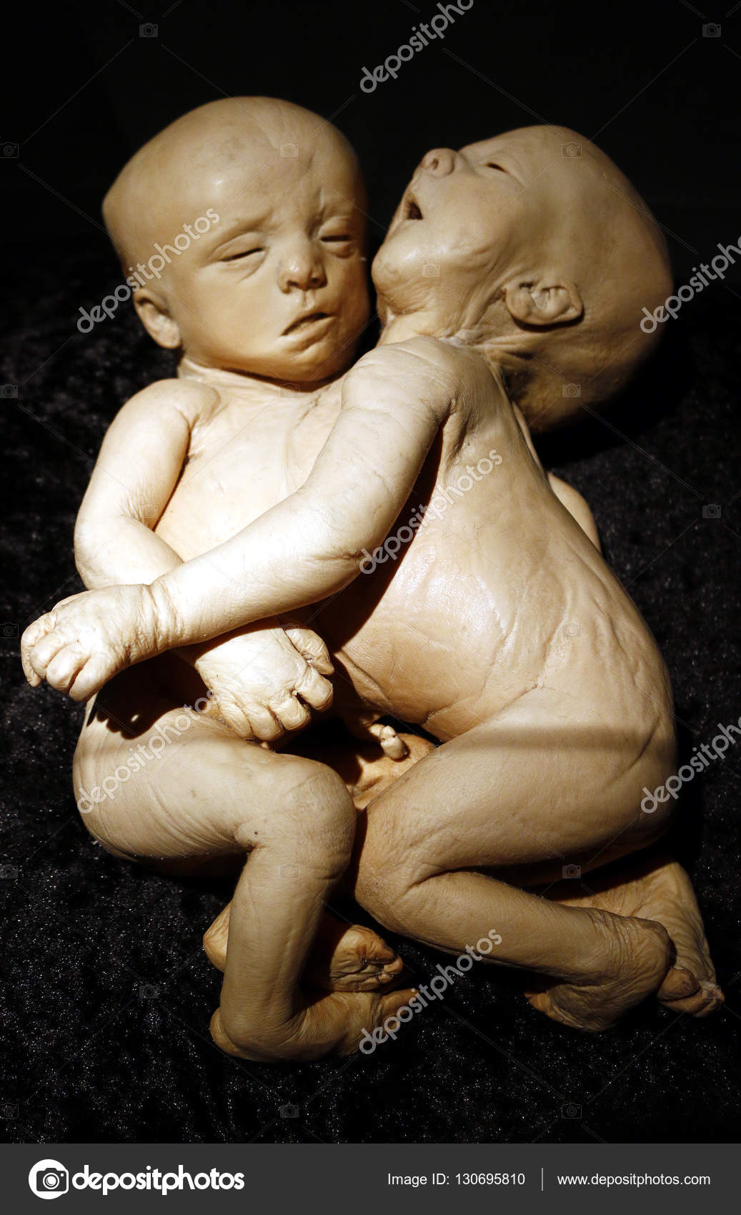 🎉 We've Reached 2,000 Members! 🎉, image size:1037x1700