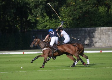 horsees Polo oyuncular