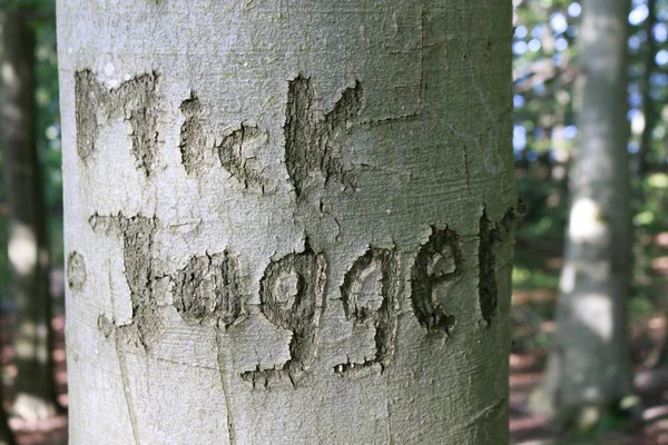 Assinatura de Mick Jagger — Fotografia de Stock