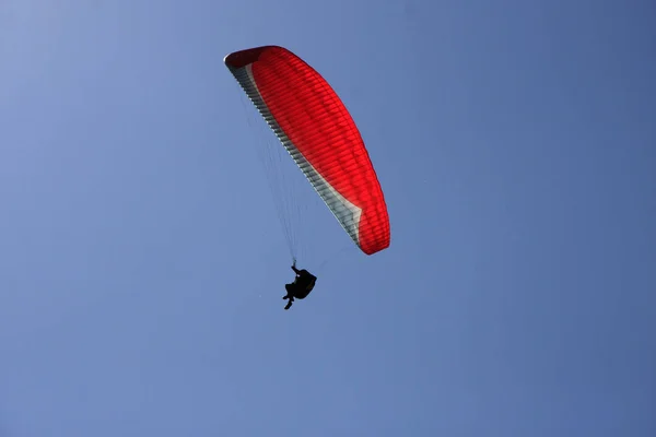 Paragliding, Alps, Canton of Valais — Stock Photo, Image