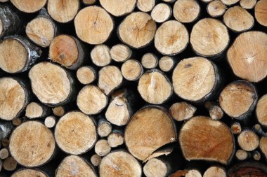 dilimlenmiş odun yığını 