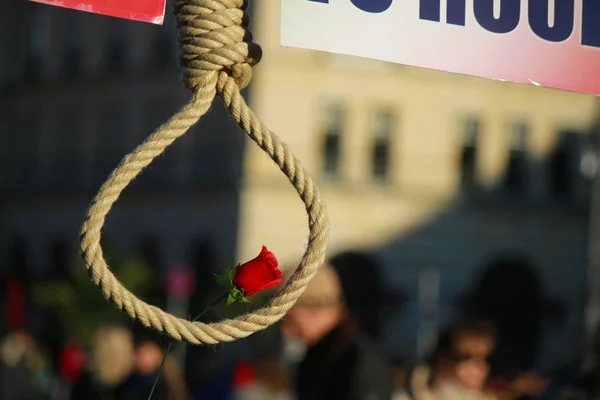 Galg met hangende rose — Stockfoto