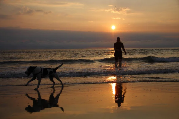 Mujer y perro caminando en la orilla del mar — Foto de Stock