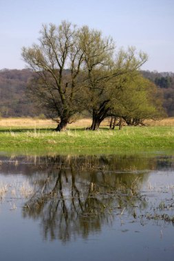 Aşağı Oder Vadisi Ulusal Parkı