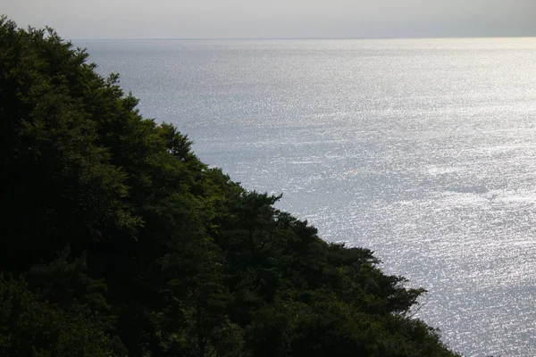  Beach, Baltık Denizi, Hiddensee.