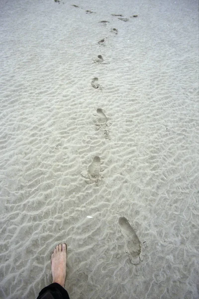 Persona caminando en la playa —  Fotos de Stock