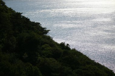  Beach, Baltık Denizi, Hiddensee.