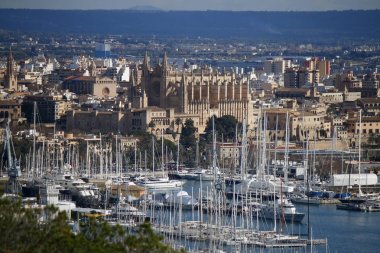 Katedral La Seu Mayorka