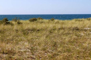  Beach, Baltık Denizi, Hiddensee.