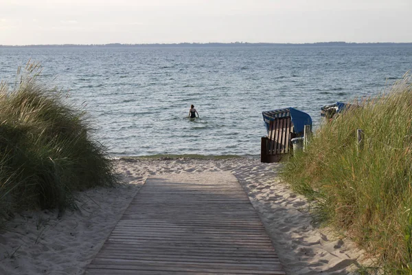 Playa, Mar Báltico, Hiddensee . — Foto de Stock