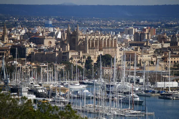 Katedral La Seu Mayorka