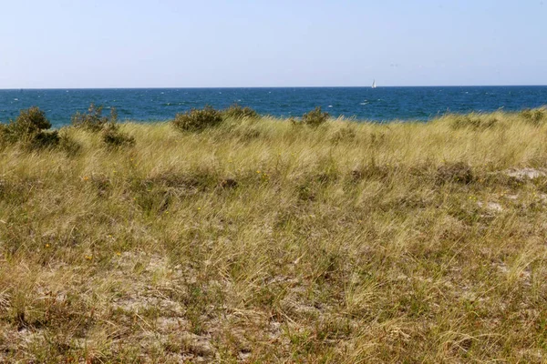  Beach, Baltık Denizi, Hiddensee.