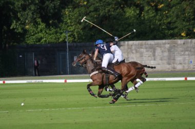 horsees Polo oyuncular