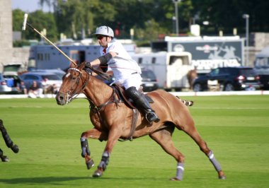  Polo turnuva katılan