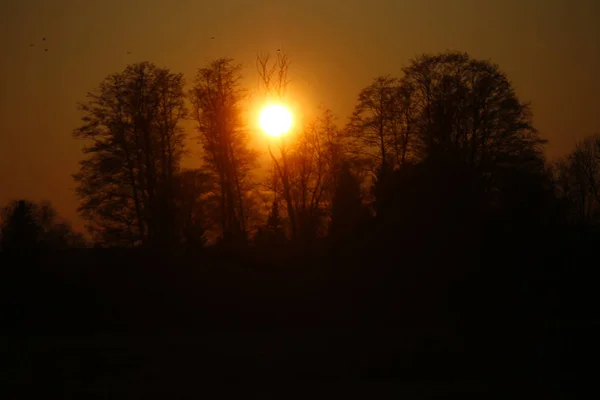 Pôr do sol na floresta nebulosa — Fotografia de Stock
