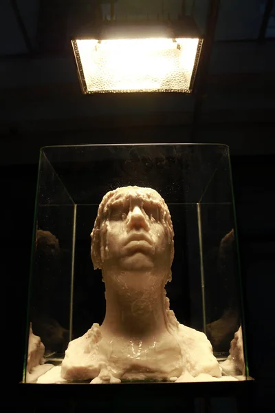 Скульптура "обличчя", Ліза Петерс — стокове фото