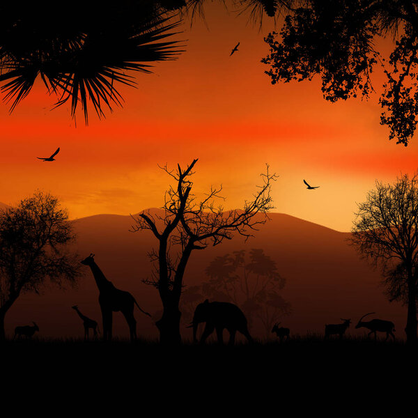 Wild african animals silhouettes