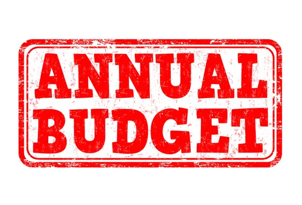 Assinatura ou carimbo do orçamento anual — Vetor de Stock