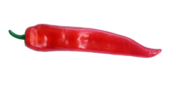 Červené chilli papričky — Stock fotografie