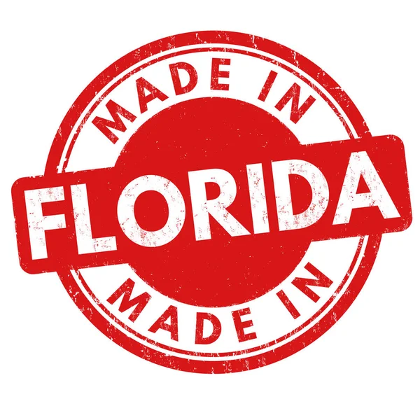 Lavet i Florida tegn eller stempel – Stock-vektor