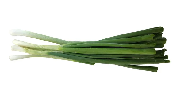 Bunch of Spring onions — Stock Photo, Image