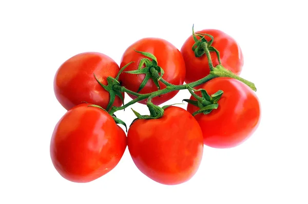 Pomodori freschi su sfondo bianco — Foto Stock