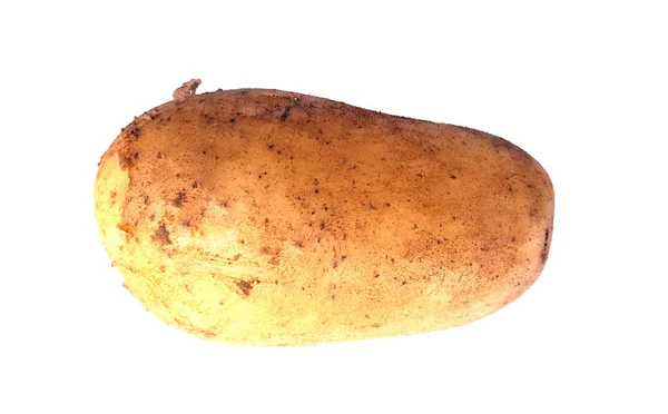 Uma batata isolada em branco — Fotografia de Stock