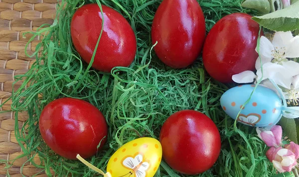 Dipinto sfondo uova di Pasqua — Foto Stock