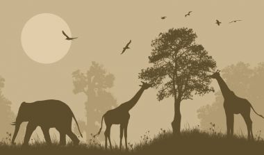 Safari vahşi hayvanlar siluet