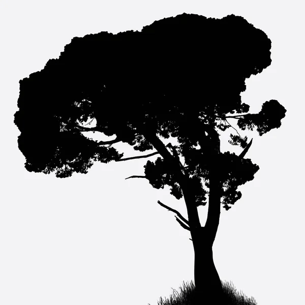 Árbol sobre fondo blanco — Vector de stock