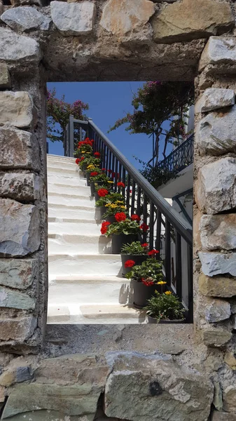 Горшечные цветы на белой лестнице — стоковое фото