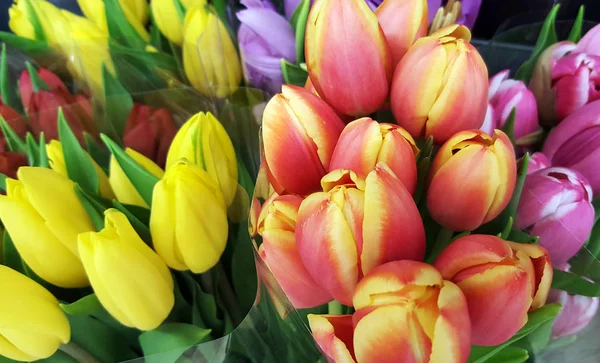 Coloridos ramos de tulipanes — Foto de Stock
