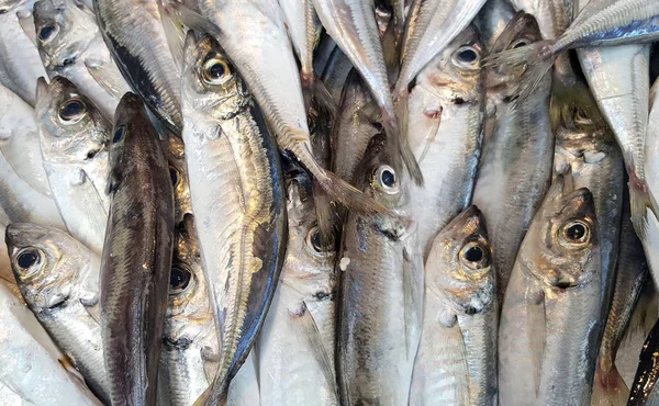 Fresh anchovies background — Stock Photo, Image