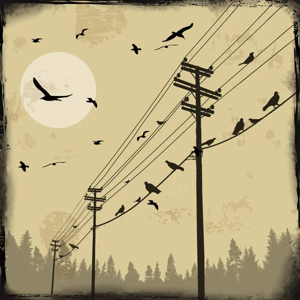 Электрические столбы с птицами на проводах — стоковый вектор
