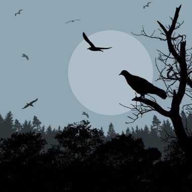 Mavi akşam dalda kuş 