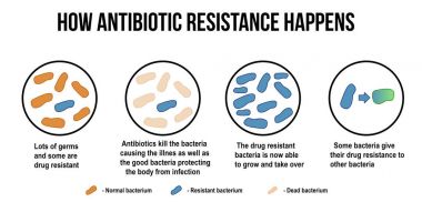 How antibiotic resistance happens diagram clipart