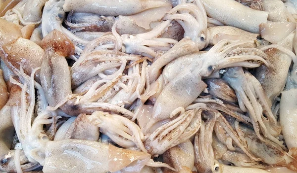 Captura fresca de calamares, fondo de mariscos de calamar —  Fotos de Stock