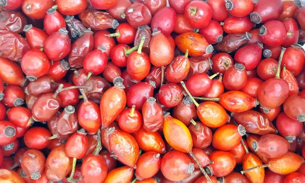 Dried rosehips background to make rosehip tea in the winter months — Stock Photo, Image