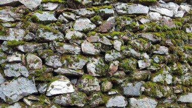 Doğal taş arka plan yeşil yosun ile