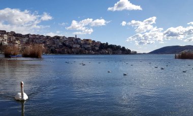 Kesriye şehir ve ünlü ORESTIADA göle Yunanistan önünde Kuğu