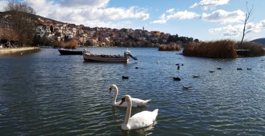 Kesriye şehir önünde iki kuğu ve ünlü ORESTIADA göle Yunanistan