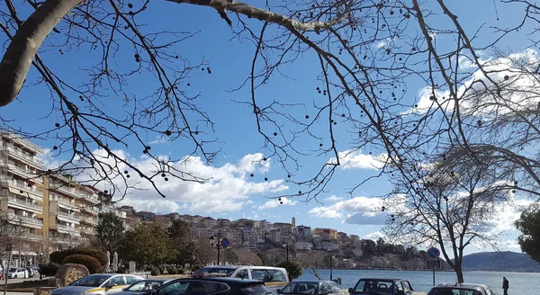 カストリア, ギリシャ - カストリアの町と有名なオレスティアダ湖の 2018 年 1 月 18 日の風光明媚なビュー — ストック写真