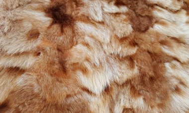 Kahverengi ve beyaz kürk doğal doku arka planı için
