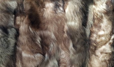 Doğal kürk arka plan dokusu 