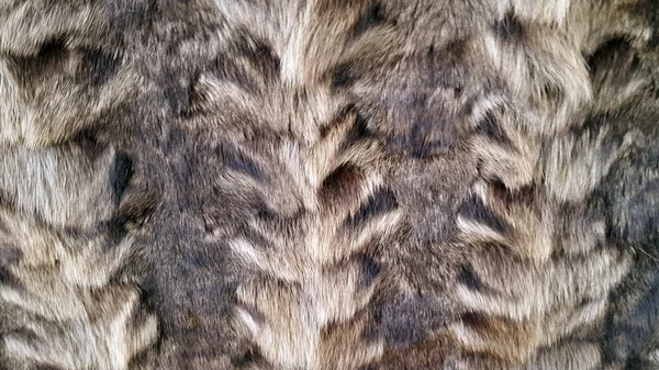 Natural fur background texture — Stock Photo, Image