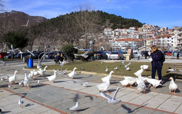 KASTORIA, GRECIA - 19 de enero de 2018. Mujer alimentando gansos junto al lago Orestiada en la ciudad de Kastoria, Grecia — Foto de Stock